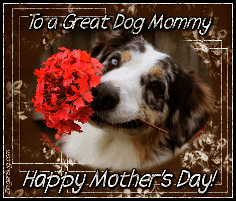 Click to get the codes for this image. Happy Mothers Day To A Great Dog Mommy, Mothers Day Free Image, Glitter Graphic, Greeting or Meme for Facebook, Twitter or any forum or blog.
