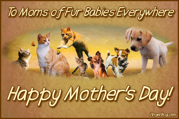 Click to get the codes for this image. Happy Mothers Day To Moms Of Fur Babies, Mothers Day Free Image, Glitter Graphic, Greeting or Meme for Facebook, Twitter or any forum or blog.