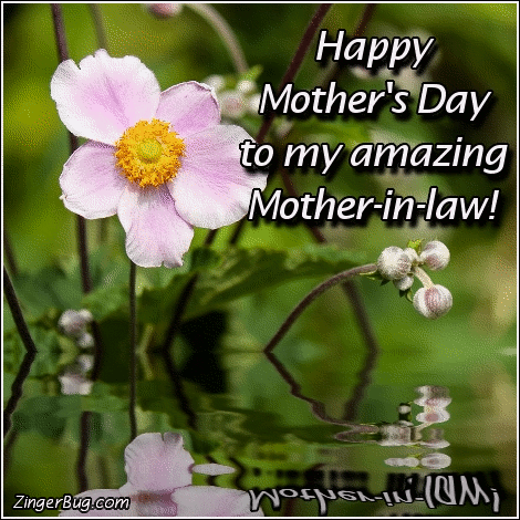 Click to get the codes for this image. Happy Mothers Day To My Amazing Mother-In-Law, Mothers Day Free Image, Glitter Graphic, Greeting or Meme for Facebook, Twitter or any forum or blog.