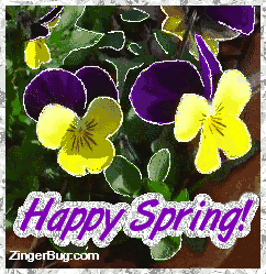Click to get the codes for this image. Happy Spring Violas, Spring Free Image, Glitter Graphic, Greeting or Meme for Facebook, Twitter or any forum or blog.
