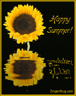 Click to get the codes for this image. Graphic of a sunflower reflected in animated pool. The comment reads Happy Summer!