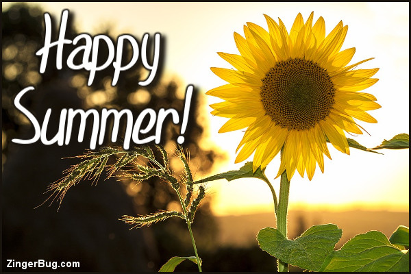 Click to get the codes for this image. Happy Summer Sunflower, Summer Glitter Graphic, Comment, Meme, GIF or Greeting