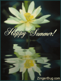 Click to get the codes for this image. Beautiful graphic of a yellow flower reflected in an animated pool. The comment reads: Happy Summer!