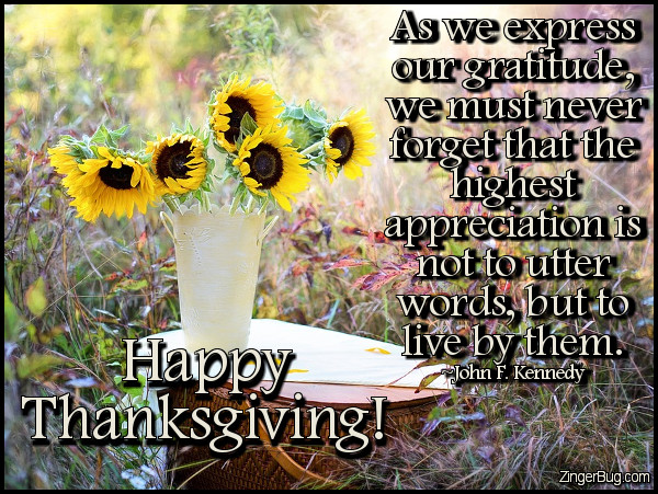 Click to get the codes for this image. Happy Thanksgiving Jfk Quote, Thanksgiving Glitter Graphic, Comment, Meme, GIF or Greeting