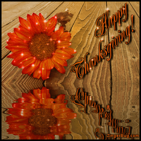 Click to get the codes for this image. Happy Thanksgiving Reflecting Flower, Thanksgiving Glitter Graphic, Comment, Meme, GIF or Greeting