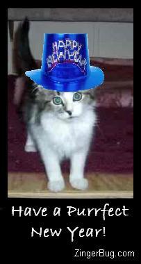 Click to get the codes for this image. Photo of a kitten wearing a Happy New Year Hat.