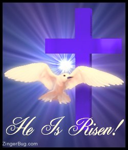 Click to get the codes for this image. Beautiful graphic of a white dove flying in front of a purple cross with an animated starburst behind it. The comment reads: He is Risen!