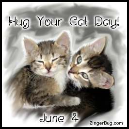 Click to get Hug Your Cat Day comments, GIFs, greetings and glitter graphics.