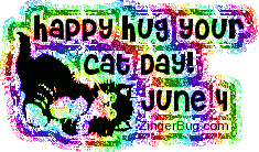 Click to get the codes for this image. Happy Hug Your Cat Day June 4, Hug Your Cat Day Free Image, Glitter Graphic, Greeting or Meme for Facebook, Twitter or any forum or blog.