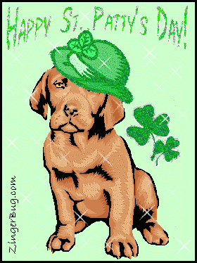 Click to get the codes for this image. Irish Dog Happy St. Patty's Day!, Saint Patricks Day Free Image, Glitter Graphic, Greeting or Meme for Facebook, Twitter or any forum or blog.