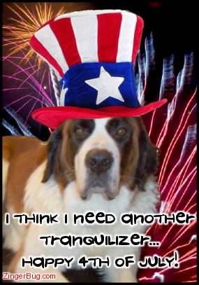 Click to get the codes for this image. Funny photo of a dog wearing a red, white and blue top hat with fireworks in the background. The comment reads: I think I need another tranquilizer... Happy 4th of July!