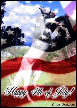 Click to get the codes for this image. Photo collage of a white horse with an American Flag superimposed on it. The comment reads: Happy 4th of July!