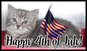 Click to get the codes for this image. Cute photo of a kitten with an American Flag. The comment reads: Happy 4th of July!