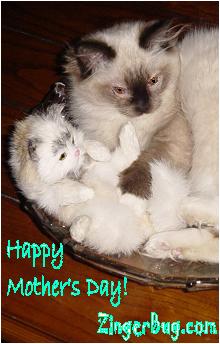 Click to get the codes for this image. Happy Mother's Day Cat with Kitten Photo, Mothers Day Free Image, Glitter Graphic, Greeting or Meme for Facebook, Twitter or any forum or blog.