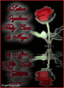 Click to get the codes for this image. This Beautiful Cinco de Mayo comment shows a single red rose reflected in an animated pool. The comment reads: Latina Orgullosa! Feliz Cinco de Mayo!