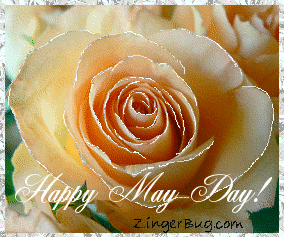 Click to get the codes for this image. Glitter graphic of a peach rose with silver glitter on the tips of each petal. The comment reads: Happy May Day!