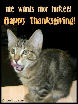 Click to get the codes for this image. Cute photo of a cat licking its chops. The comment reads: Me wants mor turkee! Happy Thanksgiving!