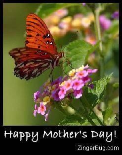 Click to get the codes for this image. Mother's Day Butterfly, Mothers Day Free Image, Glitter Graphic, Greeting or Meme for Facebook, Twitter or any forum or blog.