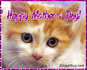 Click to get the codes for this image. Mother's Day Kitten, Mothers Day Free Image, Glitter Graphic, Greeting or Meme for Facebook, Twitter or any forum or blog.