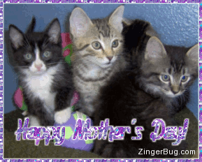 Click to get the codes for this image. Mother's Day Kittens, Mothers Day Free Image, Glitter Graphic, Greeting or Meme for Facebook, Twitter or any forum or blog.