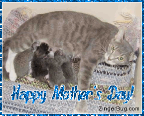 Click to get the codes for this image. Mother's Day Nursing Cat, Mothers Day Free Image, Glitter Graphic, Greeting or Meme for Facebook, Twitter or any forum or blog.