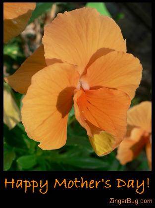 Click to get the codes for this image. Mother's Day Orange Flowers, Mothers Day Free Image, Glitter Graphic, Greeting or Meme for Facebook, Twitter or any forum or blog.
