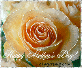 Click to get the codes for this image. This beautiful glitter graphc shows a peach colored rose with silver glitter on the tips of each petal. The comment reads: Happy Mother's Day!