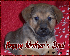 Click to get the codes for this image. Mother's Day Puppy, Mothers Day Free Image, Glitter Graphic, Greeting or Meme for Facebook, Twitter or any forum or blog.