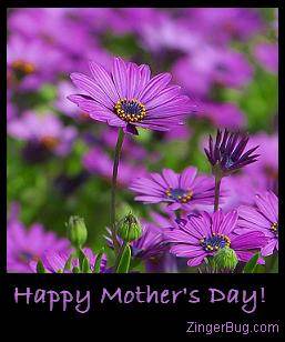 Click to get the codes for this image. Mother's Day Purple Flowers, Mothers Day Free Image, Glitter Graphic, Greeting or Meme for Facebook, Twitter or any forum or blog.