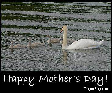 Click to get the codes for this image. Happy Mother's Day Swans, Mothers Day Free Image, Glitter Graphic, Greeting or Meme for Facebook, Twitter or any forum or blog.