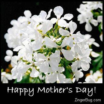 Click to get the codes for this image. Mothers Day White Flowers Photo, Mothers Day Free Image, Glitter Graphic, Greeting or Meme for Facebook, Twitter or any forum or blog.
