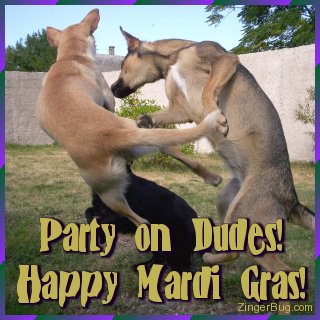 Click to get the codes for this image. Funny photo of 3 dancing dogs. The comment reads: Party on Dudes! Happy Mardi Gras!