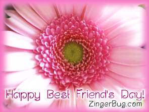 Click to get the codes for this image. Pink Flower Happy Best Friend's Day, Best Friends Day Free Image, Glitter Graphic, Greeting or Meme for Facebook, Twitter or any forum or blog.