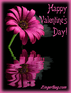 Click to get the codes for this image. Beautiful graphic of a pink flower reflected in an animated pool. The comment reads: Happy Valentine's Day!