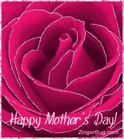 Click to get the codes for this image. Beautiful glitter graphic of a pink rose with glitter on the tips of each petal. The comment reads: Happy Mother's Day!