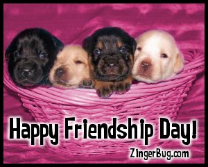 Click to get the codes for this image. Cute photo of 4 puppies in a pink basket. The comment reads: Happy Friendship Day!