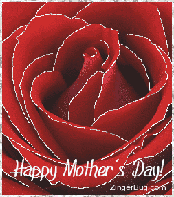Click to get the codes for this image. This glitter graphic shows a close-up of a red rose with silver glitter on the tips of each petal. The comment reads: Happy Mother's Day!