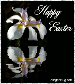 Click to get the codes for this image. This beautiful glitter graphic shows a white Lily reflected in an animated pool. The comment reads: Happy Easter!