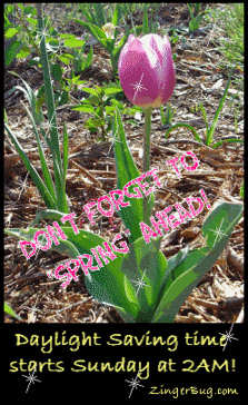 Click to get the codes for this image. Glittered Photo of a pink Tulip with the comment: Don't Forget to Spring Ahead! Daylingt Saving time starts Sunday at 2am!