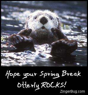 Click to get the codes for this image. Funny photo of a sea otter giving 2 thumbs up. The comment reads: Hope your Spring Break Otterly ROCKS!