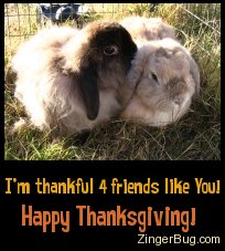 Click to get the codes for this image. This cute photo shows a bunny apparently whispering in the ear of another bunny. The comment reads: I'm thankful 4 friends like you! Happy Thanksgiving!