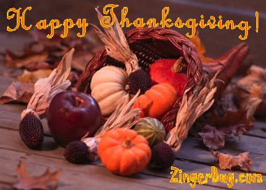 Click to get the codes for this image. Thanksgiving Gourds Photo, Thanksgiving Free Image, Glitter Graphic, Greeting or Meme for Facebook, Twitter or any forum or blog.