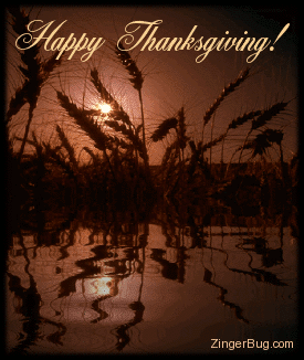 Click to get the codes for this image. This beautiful graphic shows stalks of wheat reflected in an animated pool at sunset. The comment reads: Happy Thanksgiving!