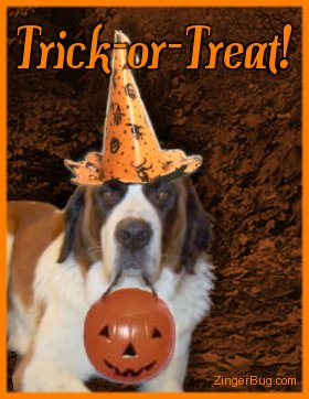 Click to get the codes for this image. this funny photo shows a dog wearing a halloween hat and holding a plastic trick-or-treat pumpkin in its mouth. The comment reads: rick-Or-Treat!