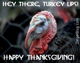 Click to get the codes for this image. This funny graphic shows a photo of a turkey's face. The comment reads: Hey there, Turkey Lips! Happy Thanksgiving!