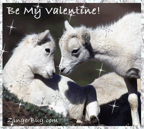 Click to get the codes for this image. Be My Valentine Lambs Glittered Photograph, Valentines Day Free Image, Glitter Graphic, Greeting or Meme for Facebook, Twitter or any forum or blog.