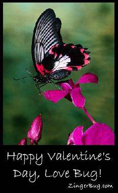 Click to get the codes for this image. Happy Valentine's Day Love Bug Butterfly Photo, Valentines Day Free Image, Glitter Graphic, Greeting or Meme for Facebook, Twitter or any forum or blog.