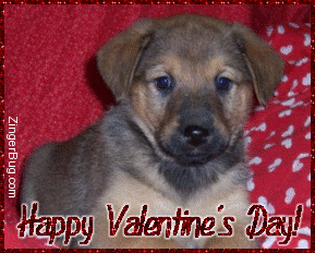 Click to get the codes for this image. This cute glitter graphic shows a puppy sitting on a red pillow with white hearts. The comment reads: Happy Valentine's Day!