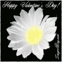 Click to get the codes for this image. This beautiful glitter graphic shows a white daisy with silver glitter around the edges of the petals. The comment reads: Happy Valentine's Day!