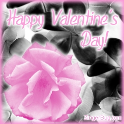 Click to get the codes for this image. Valentines Day Pink Rose, Valentines Day Free Image, Glitter Graphic, Greeting or Meme for Facebook, Twitter or any forum or blog.